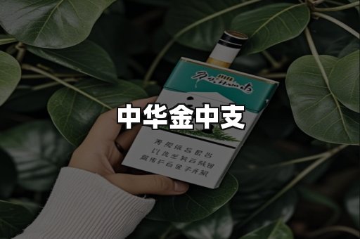 中华金中支